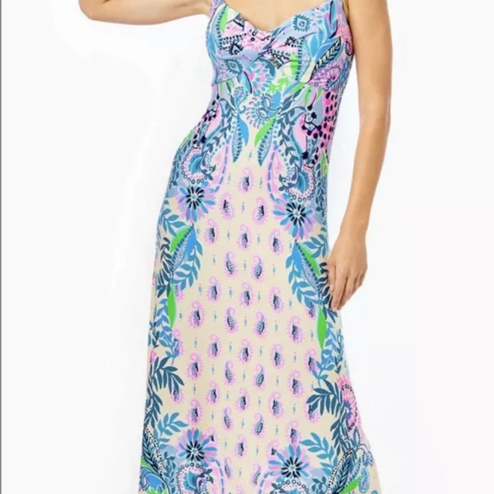 🦄 RARE Lilly Pulitzer Ambria Maxi Dress Macademia Haute Cature Engineered - Picture 2 of 8